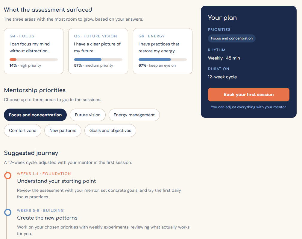 The mentorship plan: what the assessment surfaced, chosen priorities, and the suggested 12-week journey